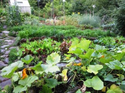 The Ideal Spot for a Garden Image